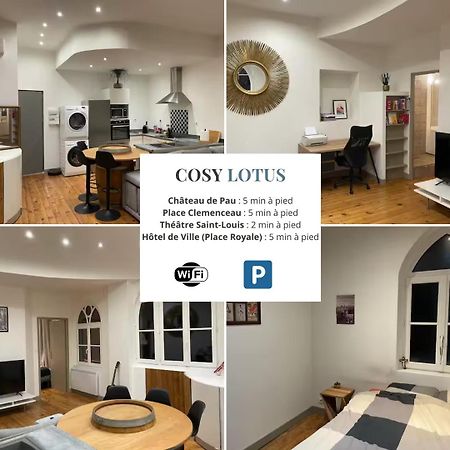 Cosy Lotus 1Ch - Place Verdun & Parking Pau Bagian luar foto